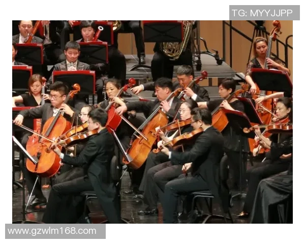 斯通斯乐队的传奇历程与音乐影响力探讨