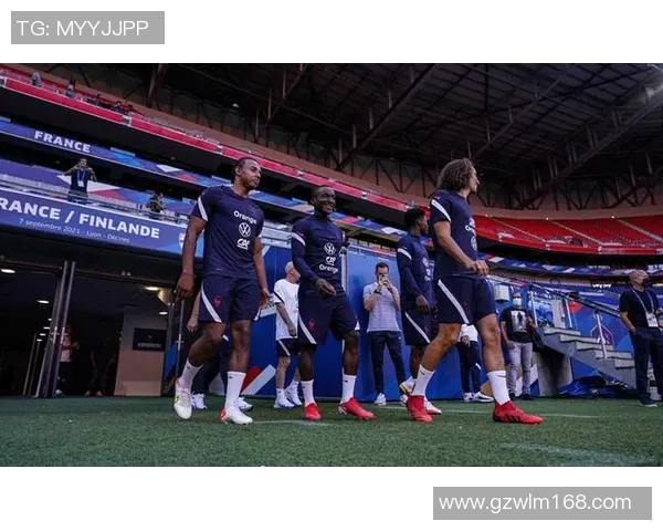 芬兰男篮对阵法国男篮世预赛精彩回顾与赛况分析